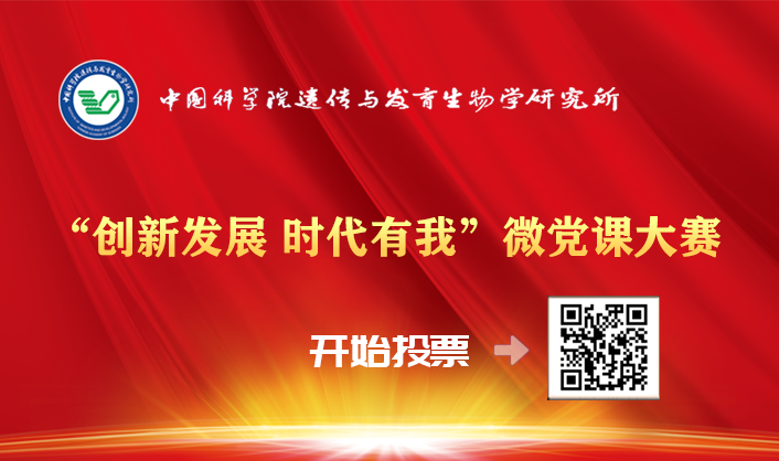 “创新发展 时代有我”微党课大赛，开始投票了